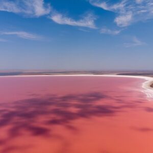 «Чорне золото» Криму під загрозою