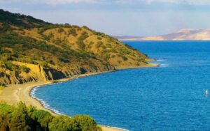 Juniper comfort of Kanaka