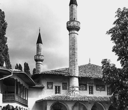 Діяльність партії Міллі Фірка