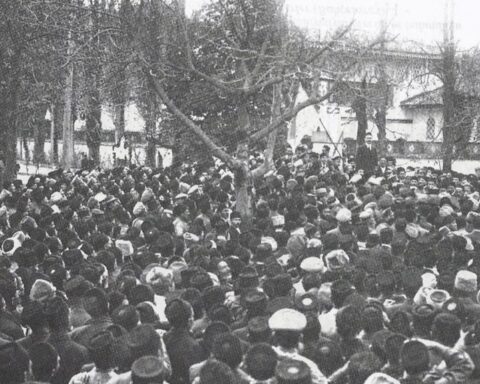 Політико-правовий статус Криму у візіях суспільно-політичних сил у 1917-1920 рр